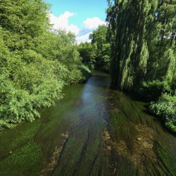 River Allen