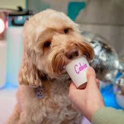 Cockapoo Cafe - Birmingham