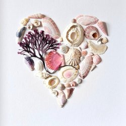 Shell & Sea Glass Framed Art Workshop