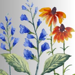 Botanical Watercolor Workshop