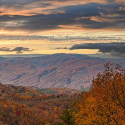 Smoky Mountains Show Trip: Pigeon Forge & Gatlinburg, TN