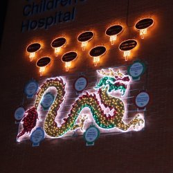 Lunar New Year Charity Banquet at China Red