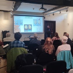 A speaker presenting about handaxes at the LSS 2024 Conference