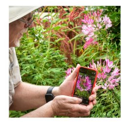 Pocket Pro: Phone Photography That Turns Heads