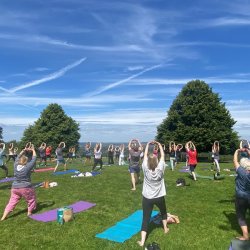 Shaftesbury Wellness Yoga