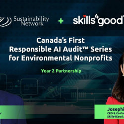 Skills4Good AI - Responsible AI Audit: 3 Course Streams Interest Survey