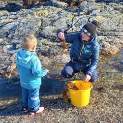 Rockpool Adventures with Hayley the Tiree Ranger