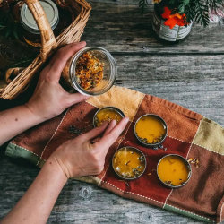 herbal medicine course