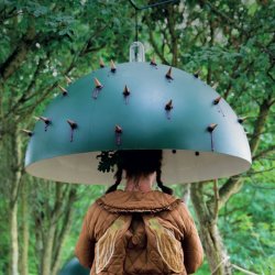 Climate Gathering 2026