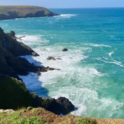 The Arts Society Cornish Riviera Summer Party