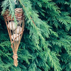 Willow Weaving Bird Feeder Workshop from Mere Brow Makes