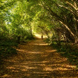 An Autumn Meditation Retreat for Young Adults