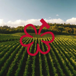 Three, Two, One: A Blind Burgundy Dinner