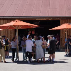 18.7. Hausmesse und Sommerfest im Hof
