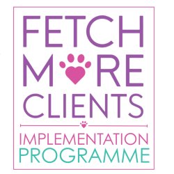 Fetch More Clients Implementation Programme