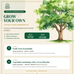 Grow Your Own: Central Texas Gardening 101