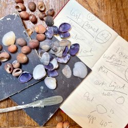 Grotto Restoration Workshop