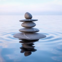 Tuesday Morning Meditation Class
