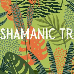 Shamanic Tribe Camp V  2026