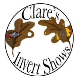 The Tyne and Wear Invert show