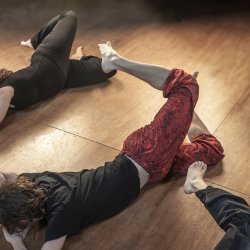 Feldenkrais Awareness Through Movement - 4 Group Class Series June 2026