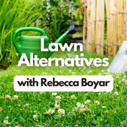 Lawn Alternatives (Seminar)