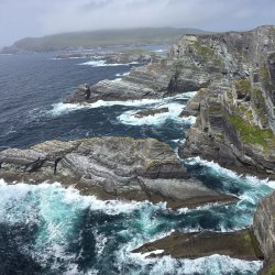 Connected to Nature: Protecting Species from River to Sea