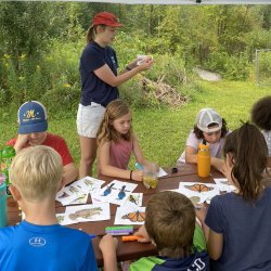 Watershed Species Illustration and Short Trail Hike