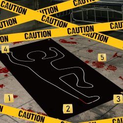 Christmas Murder Mystery
