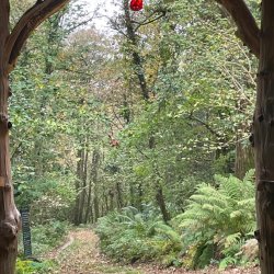 🌲 Sounds in the Woods 2026 ~ monthly May- Sept 2026