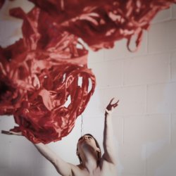 Authentic Movement - between Will and Surrender  with Anna Noctuelle (all levels)