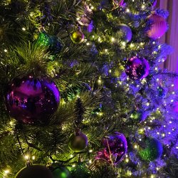 Christmas Decorations