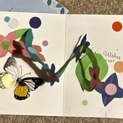 6 week card making workshop