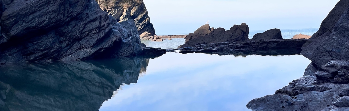 Woody Bay Seapool dip