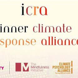 ICRA Community Call