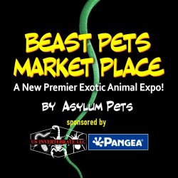 Beast Pets Market Place, a new premier Exotic Animal Expo! By Asylum Pets, sponsored by US invertabrate LLC and Pangea. Black background with a green keelbelly tail squiggled down the middle
