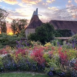 Growing and integrating summer bedding for late season interest