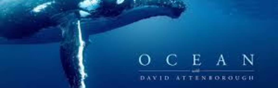 Ocean