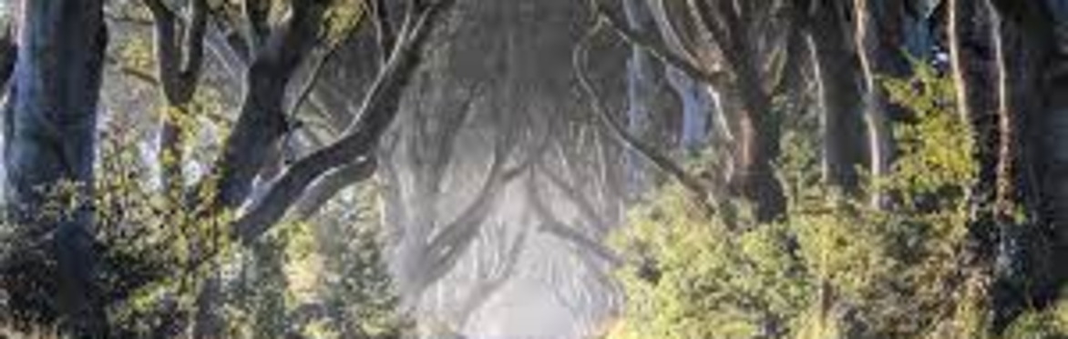 Matlock Storytelling Cafe presents: Haunted Hills and Hedges, tales from Ireland with Olivia Armstrong.
