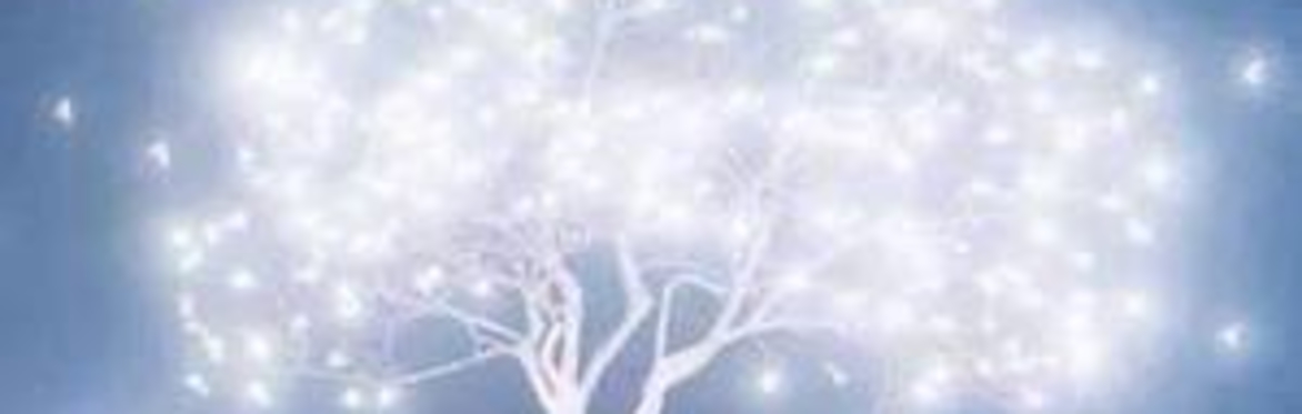 Readings with Rev. Sharon K. - Camp Chesterfield Psychic Fair