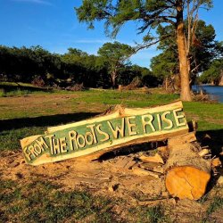From The Roots We Rise Fest w/ Monte Montgomery, Billy Mata & The Texas Tradition, and more...