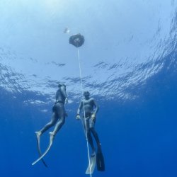 Initiation à l'apnée