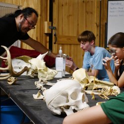 WildSide Discovery Days