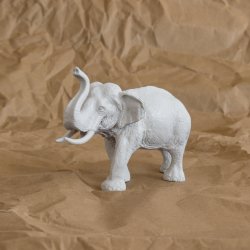 BISS Webinar October 27th 2026 - Where elephants hide and become Masters of Wisdom by Braam Beetge ISST / TM / SASTS