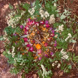 Women’s Pilgrimage Journey ONLINE