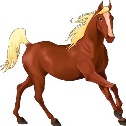 7 in Heaven Singles Horseback 9:30am Session Ages 40's 50's 60's Sun 11/08/26