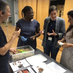 Four people stand in a room with cupboards behind them, they are stood around a table, which has archaeological artefacts ad trays on it. Some of the people are holding the artefacts and talking.