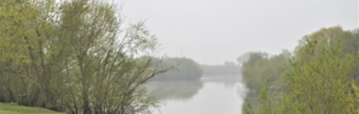 Alney Island Guided Walk