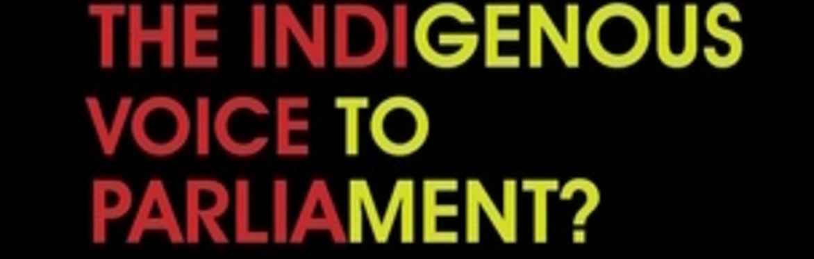 Launch of THE INDIGENOUS VOICE TO PARLIAMENT? THE NO CASE by Peter O'Brien