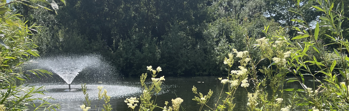 Clissold Park in summer